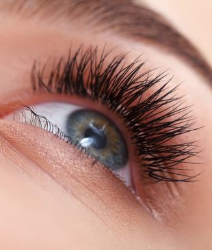 Eyelashes Close-up